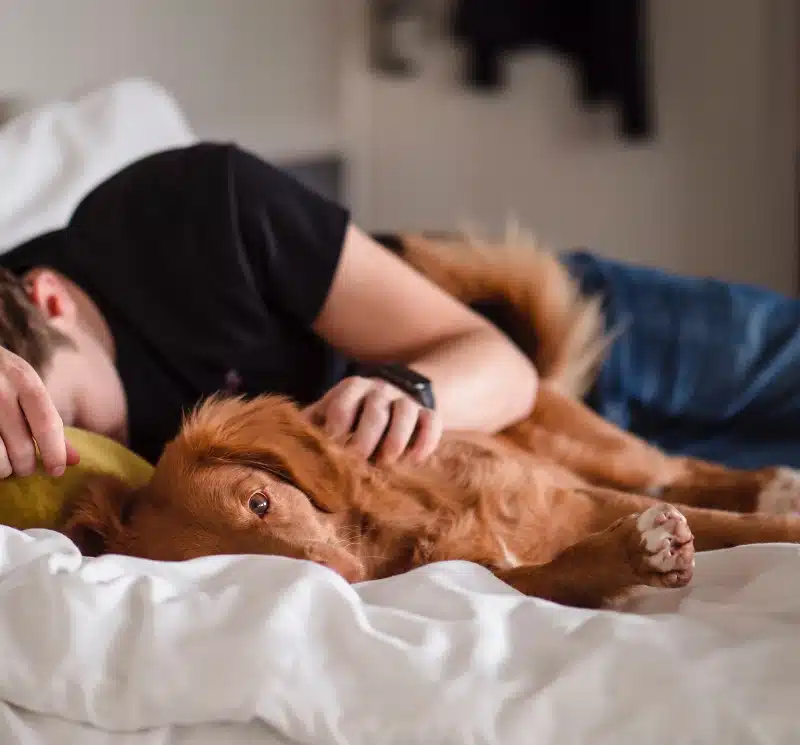person in black shirt lying on bed with his dog